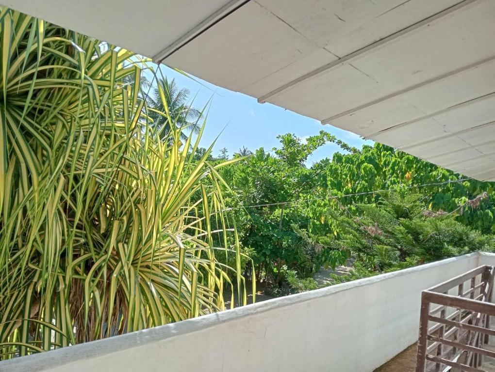 Alegria siargao holiday stay