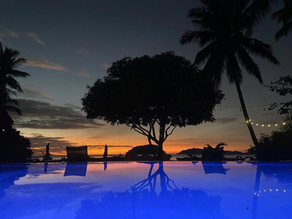 Amila Dive Beach Resort