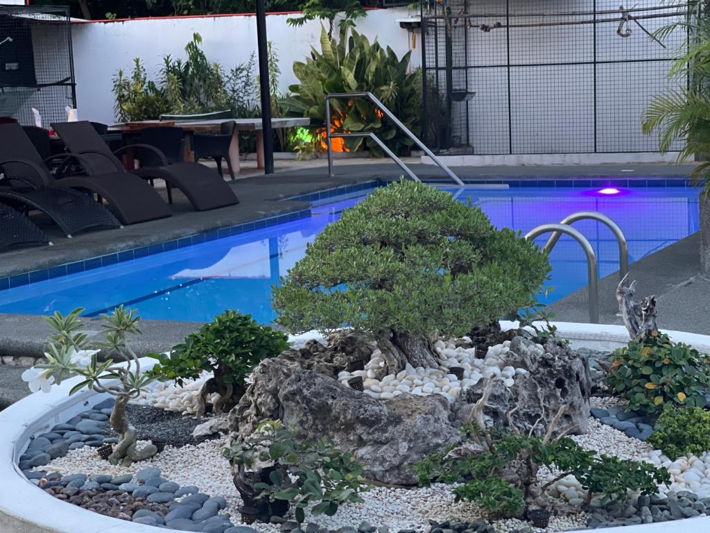 Parrot Resort Moalboal
