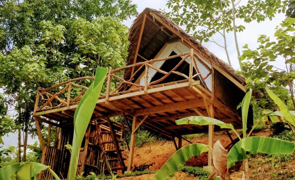 Jungle bar Resto & Cottages