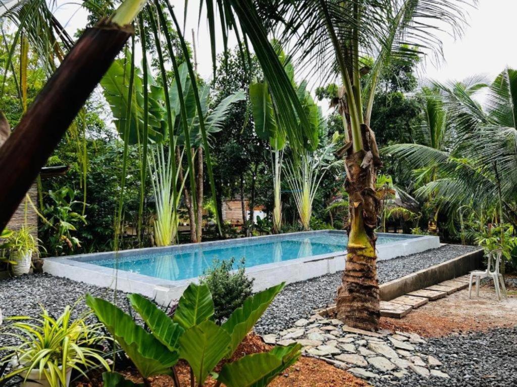 Bohol Island Homestay