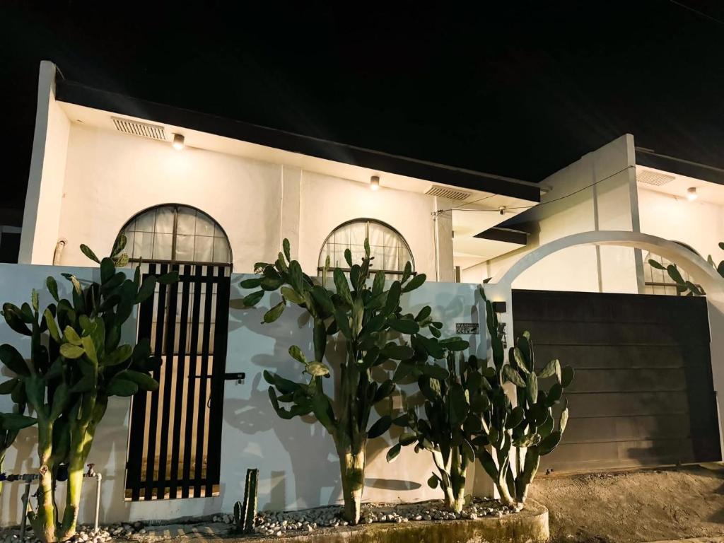 Cactus villa