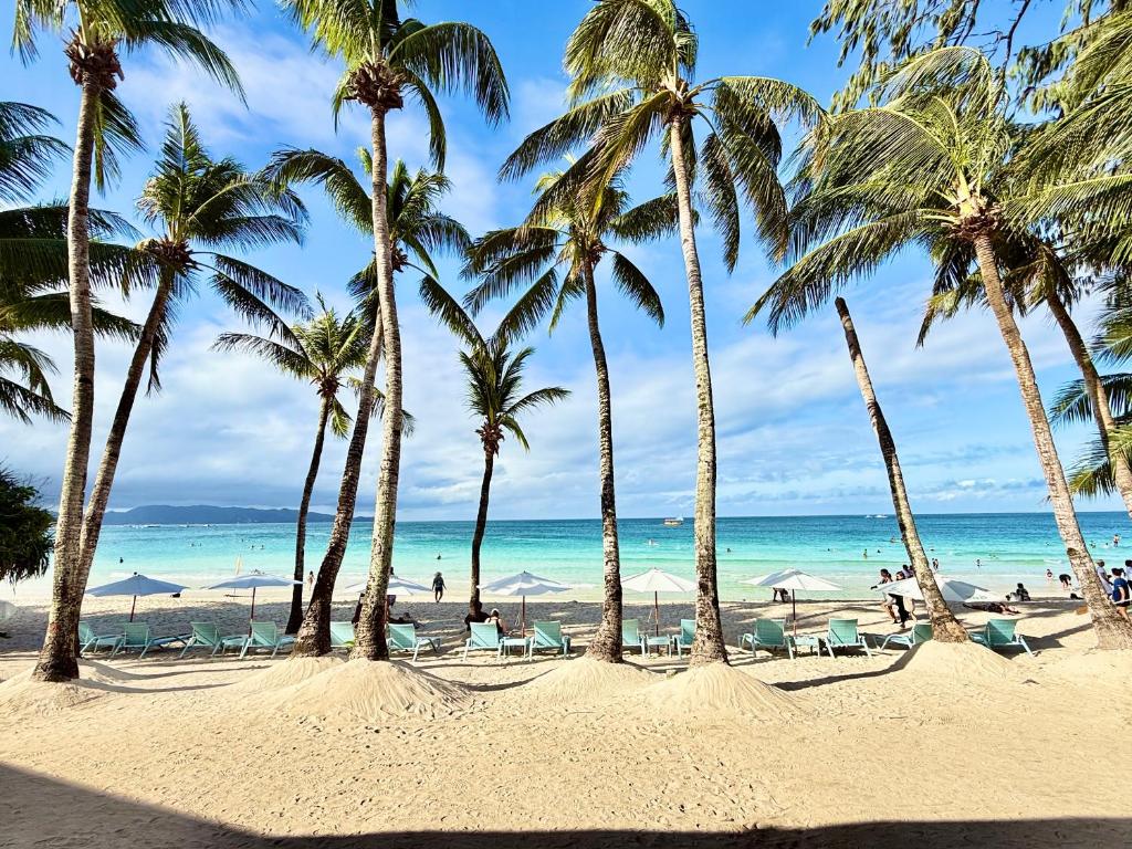 Calypso Beach and Dive Resort