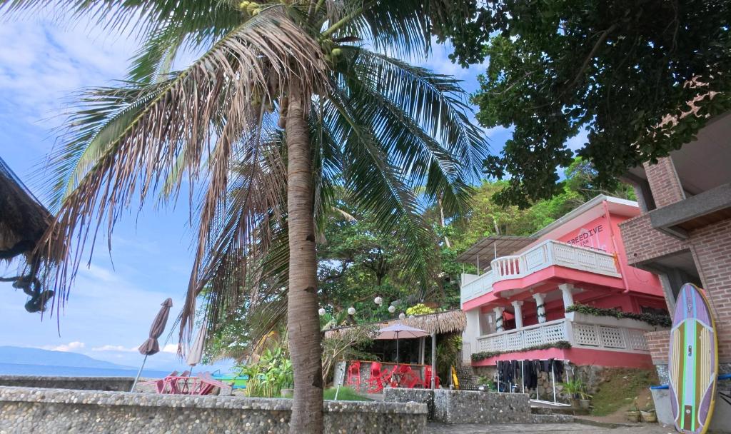 FreeDive Inn