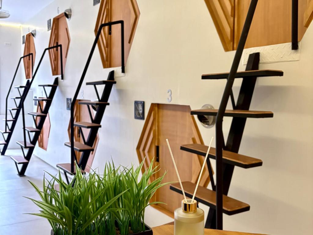 Hive Capsule Hostel