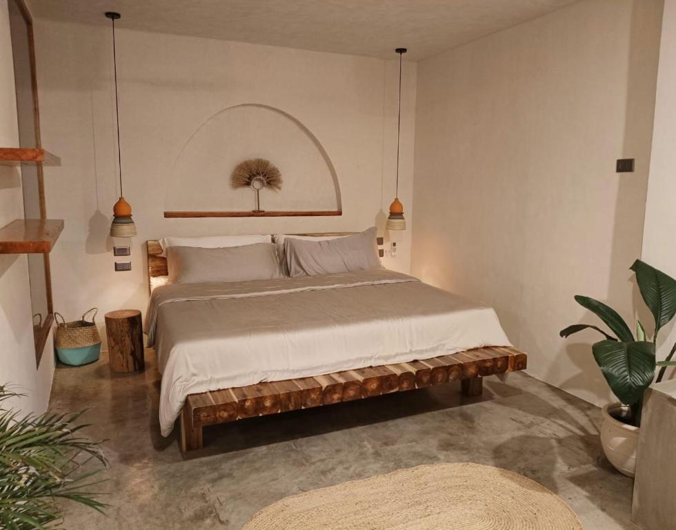 Isla studio