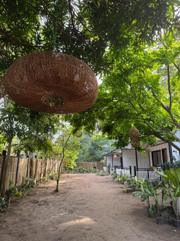 Kasitas Sibaltan