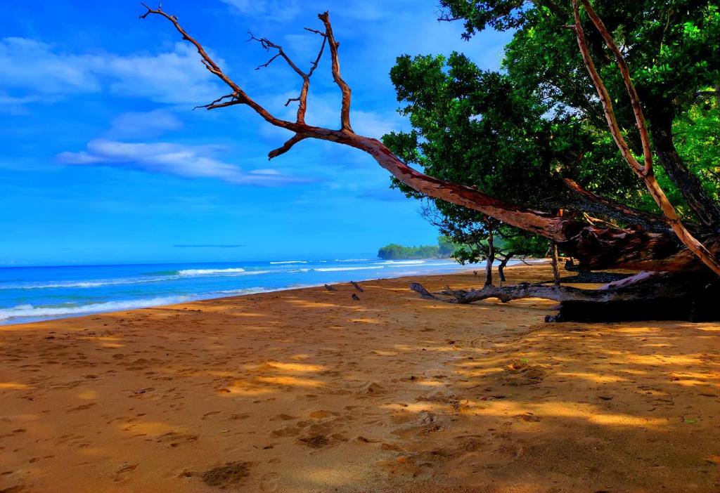 Kiao Beach