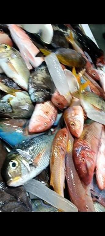 isda