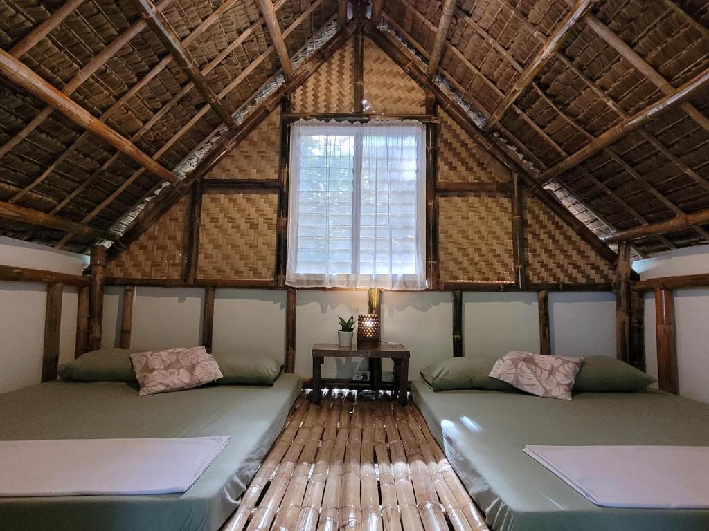 Lazy Lizard Hostel