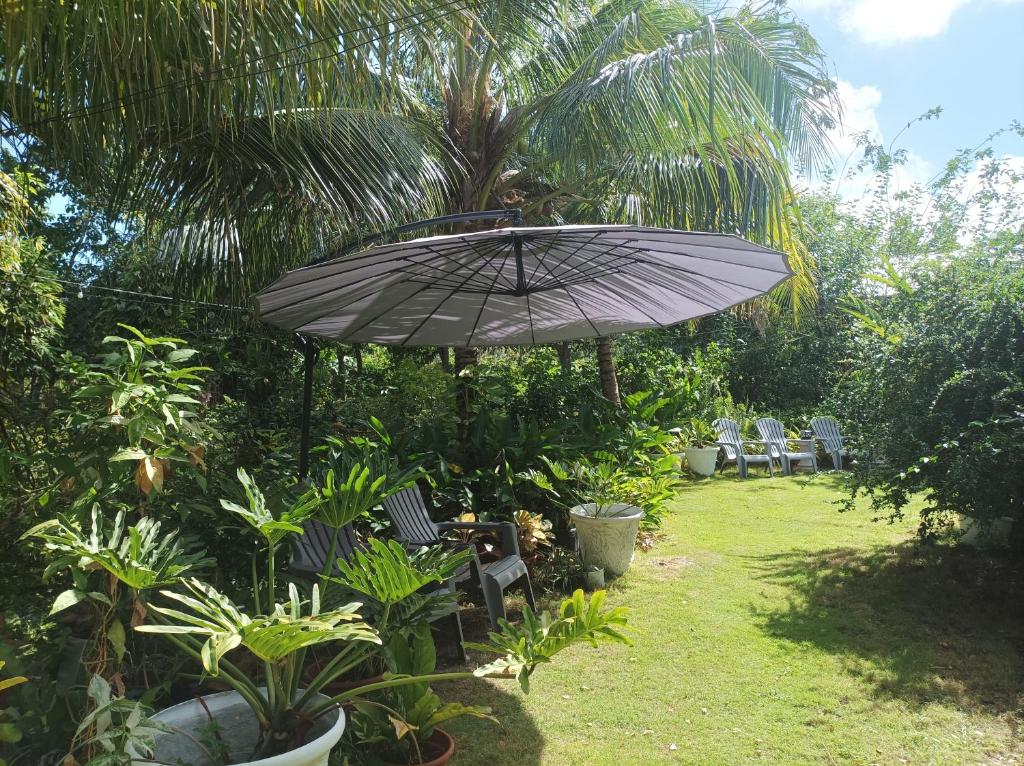 LightHaus DP Garden Resort