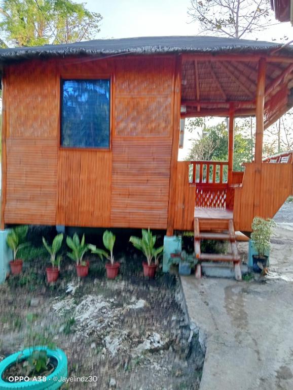 Lucia's Native House