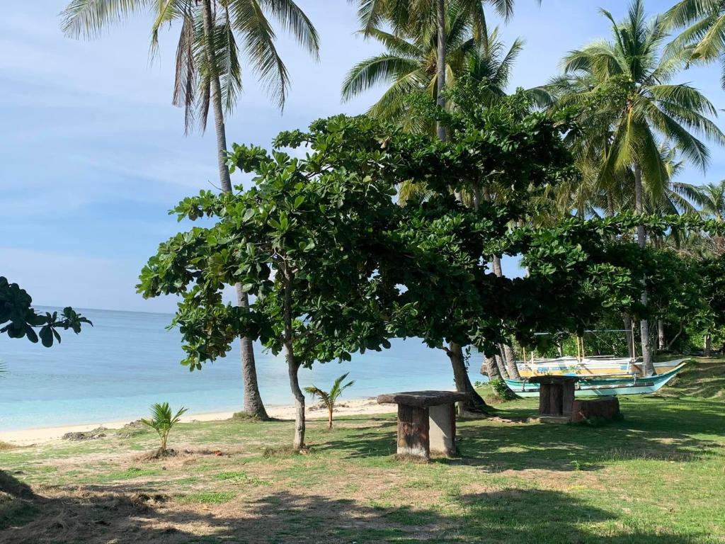 palanas white sand beach resort