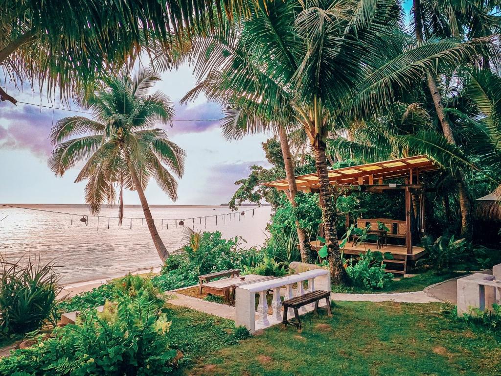 ShakaBrah Beachfront and Skatepark