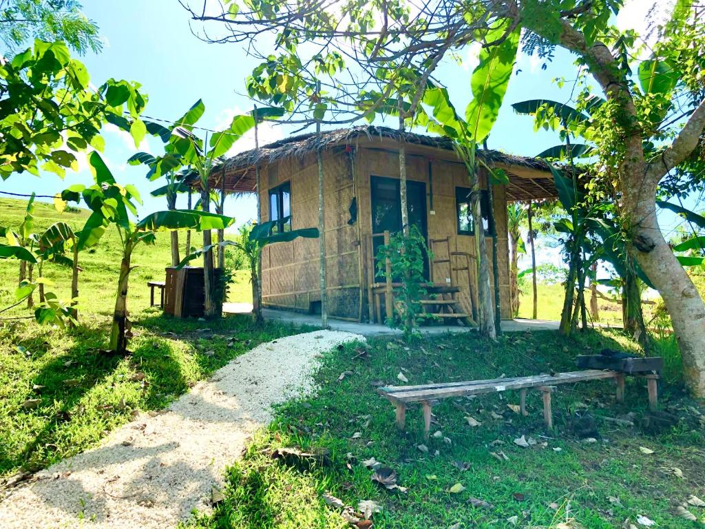 Sobral Rice Terraces View