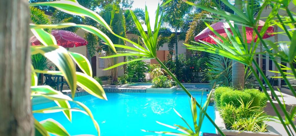 Softstone resort