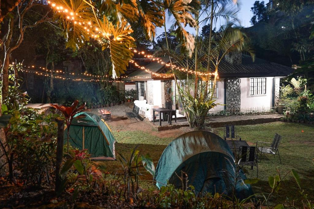 The Tiny Guesthouse