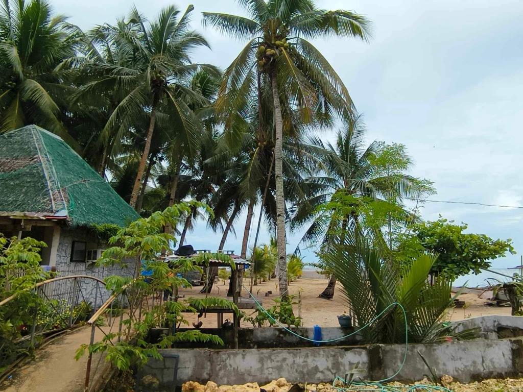 Tiliponan Nipa Hut