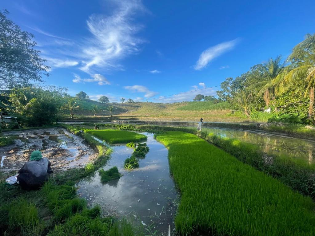 Toquero Family Farm